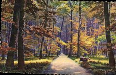 CPA Fontainebleau La Foret La Route Ronde