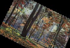 VINTAGE POSTCARD Fontainebleau the Drill Crossbred of autumn