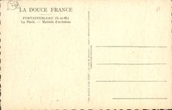 VINTAGE POSTCARD Fontainebleau the Drill Crossbred of autumn