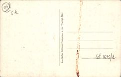 Opinión de Entrevaux de la POSTAL de la VENDIMIA y la ciudadela