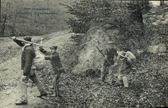 VINTAGE POSTCARD Customs Customs officers Arrest of smugglers