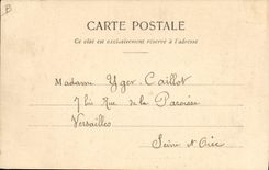 Las aduanas de las aduanas de la POSTAL de la VENDIMIA mandan los altos Vosges nuestros oficiales de aduanas en el naige