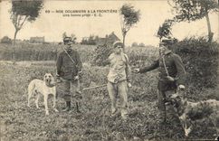 VINTAGE POSTCARD Customs Our Customs officers at the border a good catch Dog Dogs