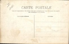 VINTAGE POSTCARD Customs Customs officers In ambush Dog Dogs