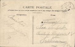 VINTAGE POSTCARD Customs Customs officers At the border the visit Dog