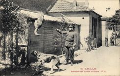 La POSTAL de la VENDIMIA los ejercicios de las lilas de los perros Chien del perseguidor organiza a policía