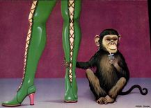 MODERN CARD Naked erotic Illustrator King Kong II Michel Pleasure Chimpanzee Monkey
