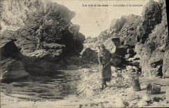 Vida de la POSTAL de la VENDIMIA con la pesca en mar con el camarón