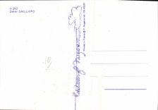 CPM Nu erotique Illustrateur Didier Gaillard