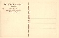 CPA Grasse Oliviers et Cypres