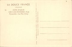 POSTAL de la VENDIMIA los pinos de D Hyeres Porquerolles de las islas de Alep