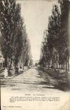 CPA Arles Les Alyscamps