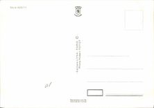 CPM Nu erotique Femme Au volant respectez les signaux Train