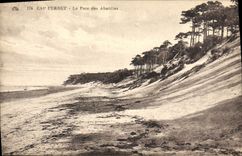 VINTAGE POSTCARD Cape Tag the Park Of Abatilles