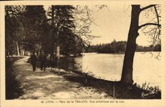 Parque de Lyon de la POSTAL de la VENDIMIA del jefe de artístico vista oro en el lago
