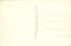 VINTAGE POSTCARD Vezelay Basilica Of the Madeleine the crypt