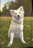 CPA Chien