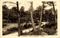 VINTAGE POSTCARD the Limousin Born Campaigns Landscape