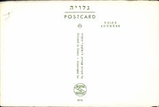 MODERN CARD Jewish Judaica Israel Capernaun Ancient synagog