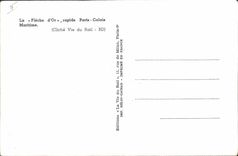 CPm Train the fast gold arrow Paris Calais maritime