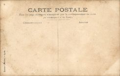 CPA Erotique Femme It must be a flea