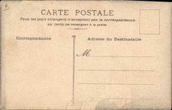 VINTAGE POSTCARD Tough love Me I have the brown ones