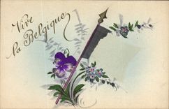 VINTAGE POSTCARD Militaria Drapeau Lives Belgium