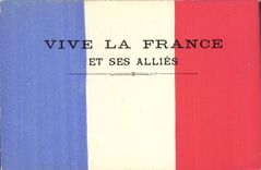 VINTAGE POSTCARD Militaria Drapeau lives France and combine them