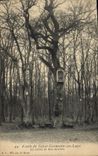 CPA Foret de Saint Germain en Laye Le chene du Bon Secours 
