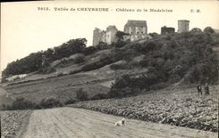 CPA Vallee de Chevreuse Chateau de la Madeleine