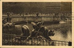 CPA Versailles Le parc le bassin de Neptune 