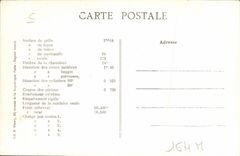 VINTAGE POSTCARD Train Engine Machine 495 has simple expansion