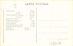 VINTAGE POSTCARD Train Engine Machine Tender 3.804