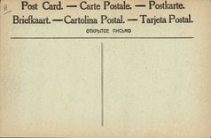 La POSTAL Militaria de la VENDIMIA que zouaves de las banderas del francés los 3ro adornan tiene Verdún del rey de Italia