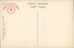 VINTAGE POSTCARD Militaria Drapeaux taken with the enemy expose to the Paris Invalids