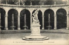 VINTAGE POSTCARD Park of Versailles Thicket of the Colonnade