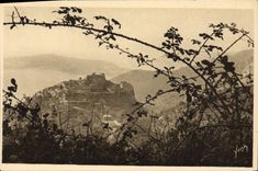 POSTAL Eze de la VENDIMIA visto de aldea a través de los árboles de mora