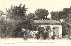 VINTAGE POSTCARD Business Humbert Crawford Seen of the field Celeyran Orangery