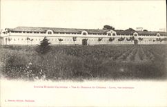 VINTAGE POSTCARD Business Humbert Crawford Seen of the field Celeyran Cellars Seen external