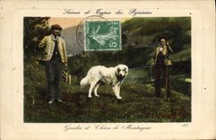 VINTAGE POSTCARD Alpinism the Pyrenees Guides and dog of mountain