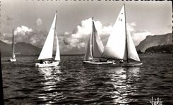 CPM Bateau Voilier Lac du Bourget et ses voiliers