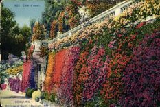 VINTAGE POSTCARD Beaulieu Boulevard Gord Bennett
