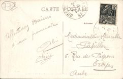 VINTAGE POSTCARD Tool bags In Brie the Castle Frontage and perron of the hunters