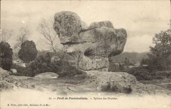 CPA Foret De Fontainbleau Sphinx des druides