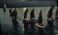 CPA Bateau Voilier Bateaux de plaisance 