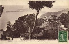 CPA Eze Vue A Travers Les Pins