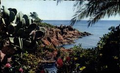 CPM Rivages mediterraneens