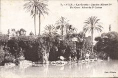 VINTAGE POSTCARD Nice the Cave Garden Albert 1st