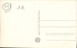 VINTAGE POSTCARD Nice the Castle the Old Well and Palm trees