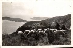 POSTAL MODERNA Francia suave dimensiona el pasto azul en la cornisa grande en el contenido la aldea de las ovejas de Eze Berger